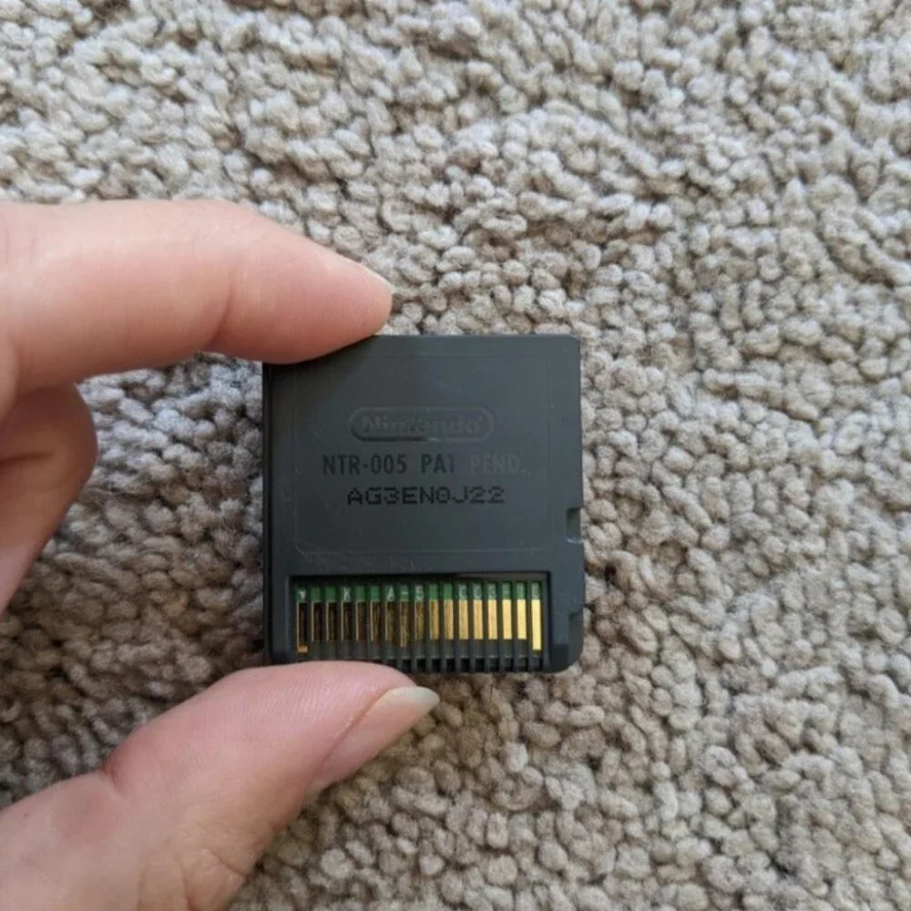 Nintendo picturing game